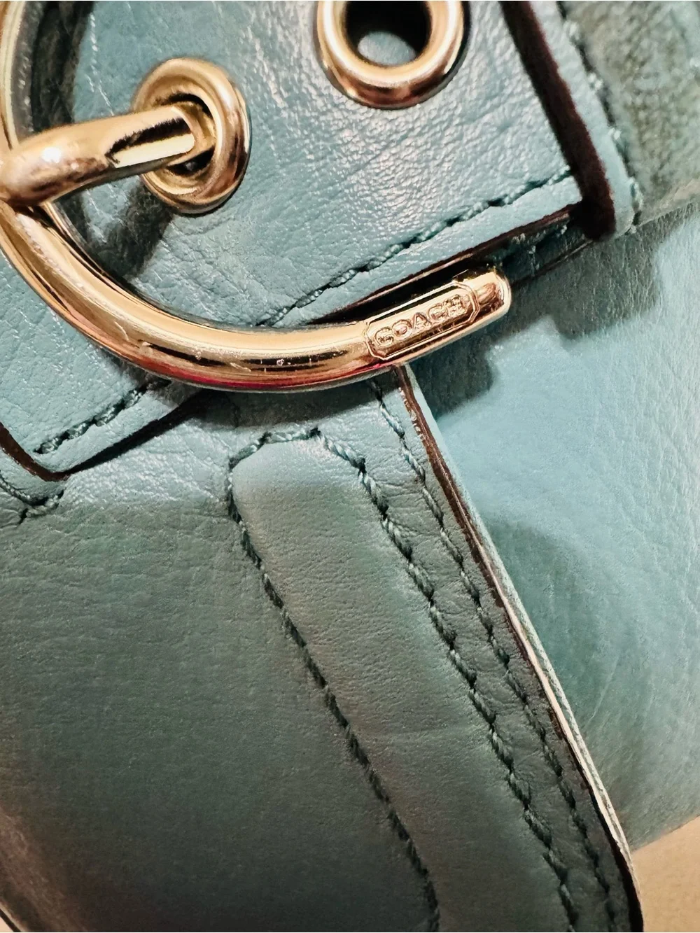 Coach Campbell Crossbody with Buckle Accent